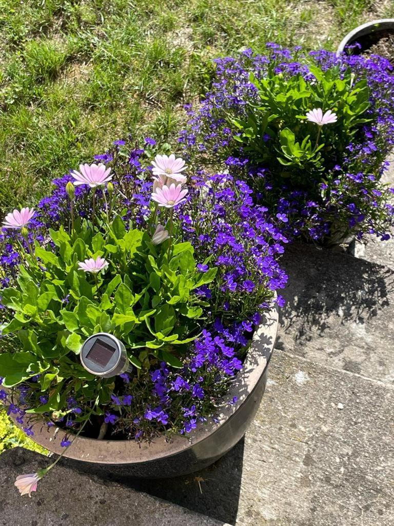Rynge Teaters Boningshus Apartment Ystad Exterior foto